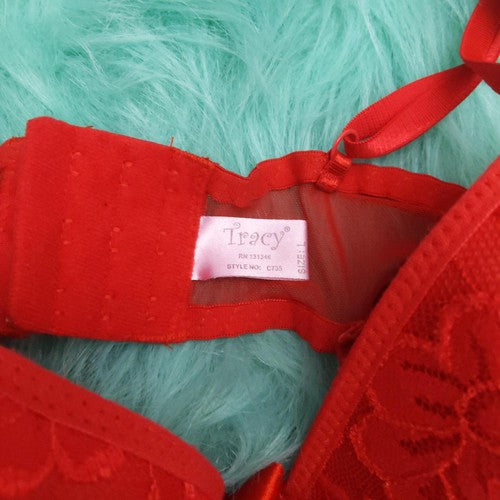 Red Rose Lace Detail Teddy